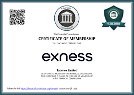 Enhance Your Trading Experience with Metatrader 4 Exness Limited VC